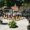 comp_IMG_9203.jpg